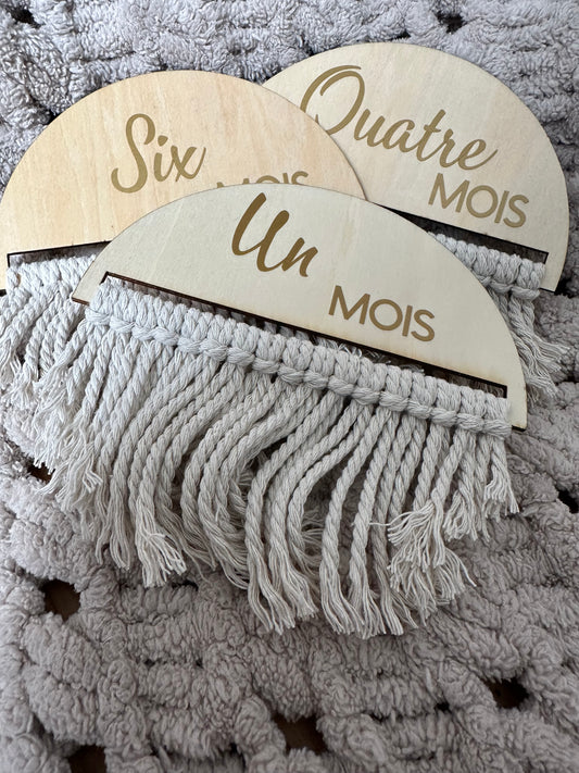 Cartes étapes bois croissance 12 mois